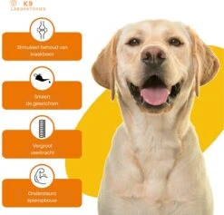 K9 Laboratories - 3 Delig Voordeel Pakket - Gewricht & Heup - 180 Stuks - Voor Honden - Met Artrose - Moeite Met Opstaan - Mankheid - HD - ED - Gewrichtsklachten - Bevat Glucosamine - MSM - Chondorïtine - Groenlipmossel 11 K9 Laboratories - 3 Delig Voordeel Pakket - Gewricht & Heup - 180 Stuks - Voor Honden - Met Artrose - Moeite Met Opstaan - Mankheid - HD - ED - Gewrichtsklachten - Bevat Glucosamine - MSM - Chondorïtine - Groenlipmossel -Exporteren Alles Voor Honden Winkel 1200x1153 10