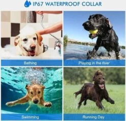 Anti Blafband EN Trainingshalsband In 1 - UNIEK SYSTEEM - 1000m Bereik - 100 Levels 23 Anti Blafband EN Trainingshalsband In 1 - UNIEK SYSTEEM - 1000m Bereik - 100 Levels -Exporteren Alles Voor Honden Winkel 1200x1154 2