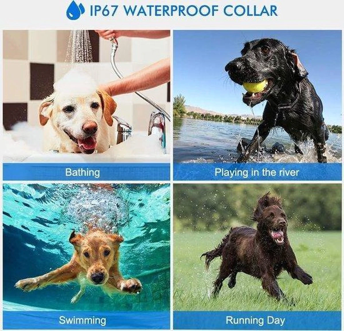 Anti Blafband EN Trainingshalsband In 1 - UNIEK SYSTEEM - 1000m Bereik - 100 Levels 13 Anti Blafband EN Trainingshalsband In 1 - UNIEK SYSTEEM - 1000m Bereik - 100 Levels - Afbeelding 11