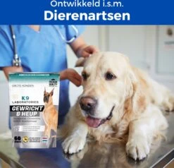 K9 Laboratories Gewricht & Heup 40+ Kg - 60 Stuks - Voor Grote Honden - Collageen - Glucosamine - Spirulina - Groenlipmossel -Exporteren Alles Voor Honden Winkel 1200x1155 14