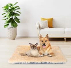 Nobleza Fluffy Benchkussen - Dierenkussen - Hondenkussen - Kattenkussen - Benchmat - Dierenmat - Hondenmat - Kattenmat - Crème - Maat L 20 Nobleza Fluffy Benchkussen - Dierenkussen - Hondenkussen - Kattenkussen - Benchmat - Dierenmat - Hondenmat - Kattenmat - Crème - Maat L -Exporteren Alles Voor Honden Winkel 1200x1156 6