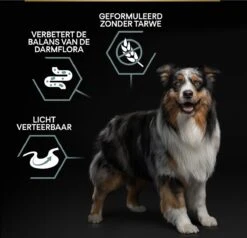 Pro Plan Graanvrij Medium & Large Adult Sensitive Digestion - Honden Droogvoer- Kalkoen - 12 Kg 37 Pro Plan Graanvrij Medium & Large Adult Sensitive Digestion - Honden Droogvoer- Kalkoen - 12 Kg -Exporteren Alles Voor Honden Winkel 1200x1157