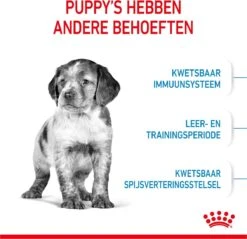Royal Canin Medium Junior 15 KG -Exporteren Alles Voor Honden Winkel 1200x1159 11