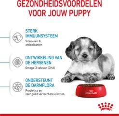 Royal Canin Medium Junior 15 KG -Exporteren Alles Voor Honden Winkel 1200x1159 12