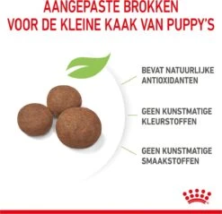 Royal Canin Medium Junior 15 KG -Exporteren Alles Voor Honden Winkel 1200x1159 13