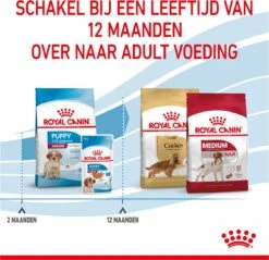 Royal Canin Medium Junior 15 KG -Exporteren Alles Voor Honden Winkel 1200x1159 17