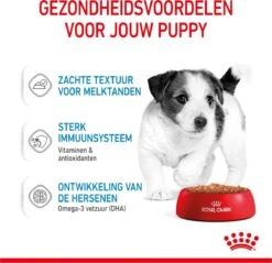 Royal Canin Shn Mini Puppy Pouch - Hondennatvoer - 12 X 85 G -Exporteren Alles Voor Honden Winkel 1200x1159 19