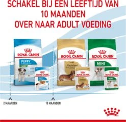 Royal Canin Shn Mini Puppy Pouch - Hondennatvoer - 12 X 85 G -Exporteren Alles Voor Honden Winkel 1200x1159 22