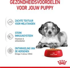 Royal Canin Shn Medium Puppy Pouch - Hondenvoer - 10 X 140 G -Exporteren Alles Voor Honden Winkel 1200x1159 27