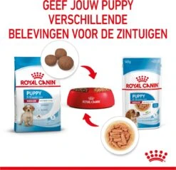 Royal Canin Shn Medium Puppy Pouch - Hondenvoer - 10 X 140 G -Exporteren Alles Voor Honden Winkel 1200x1159 28