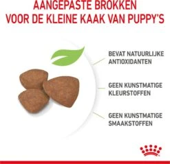 Royal Canin Mini Junior 8 KG -Exporteren Alles Voor Honden Winkel 1200x1159 3