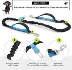 BOTC Looplijn Hond Met Heupriem Voor Hardlopen - Met Drinkbak Hond - Hondenriem - 1 Roll Poep Zakjes - Zwart 21 BOTC Looplijn Hond Met Heupriem Voor Hardlopen - Met Drinkbak Hond - Hondenriem - 1 Roll Poep Zakjes - Zwart -Exporteren Alles Voor Honden Winkel 1200x1159 38