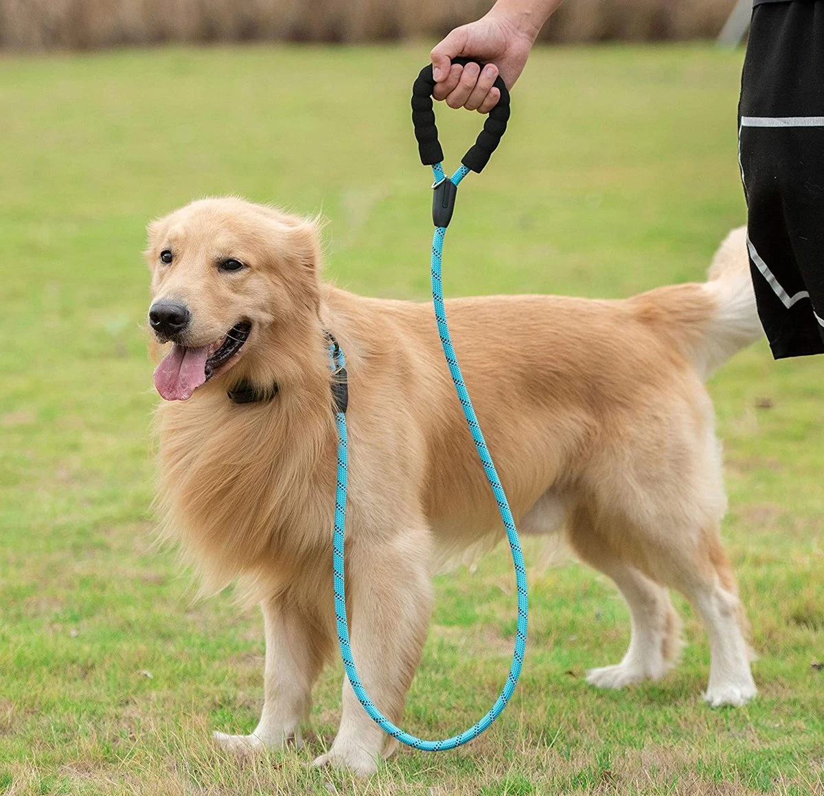 Comfortabele Hondenriem Met Gevoerd Handvat – Stevige Nylon Hondenlijn – Riem Voor Honden 7 Comfortabele Hondenriem Met Gevoerd Handvat – Stevige Nylon Hondenlijn – Riem Voor Honden - Afbeelding 5