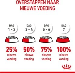 Royal Canin Mini Junior 8 KG -Exporteren Alles Voor Honden Winkel 1200x1159 5