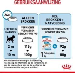 Royal Canin Mini Junior 8 KG -Exporteren Alles Voor Honden Winkel 1200x1159 6