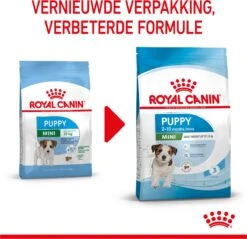 Royal Canin Mini Junior 8 KG -Exporteren Alles Voor Honden Winkel 1200x1159 7