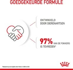 Royal Canin Mini Junior 8 KG -Exporteren Alles Voor Honden Winkel 1200x1159 8