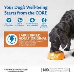 Wellness Core Grain Free Dog Large Breed Adult Kip - Hondenvoer - 10 Kg -Exporteren Alles Voor Honden Winkel 1200x1160 2