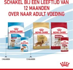 Royal Canin Shn Medium Puppy Pouch - Hondenvoer - 10 X 140 G -Exporteren Alles Voor Honden Winkel 1200x1160 4