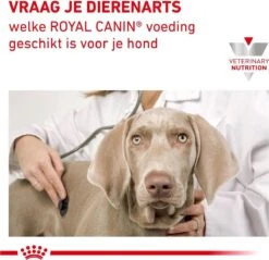 Royal Canin Hypoallergenic - Hondenvoer - 2 Kg 24 Royal Canin Hypoallergenic - Hondenvoer - 2 Kg -Exporteren Alles Voor Honden Winkel 1200x1161 3