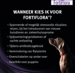 Pro Plan Veterinary Diets - FortiFlora Canine - Probiotic - 30 X 1 Gram -Exporteren Alles Voor Honden Winkel 1200x1161 9