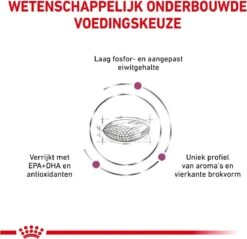 Royal Canin Renal - Dieetvoeding Voor Ondersteuning Van De Nierfunctie Van Volwassen Honden 14 Kg -Exporteren Alles Voor Honden Winkel 1200x1163 3