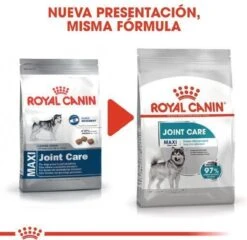 Royal Canin Ccn Joint Care Maxi - Hondenvoer - 10 Kg -Exporteren Alles Voor Honden Winkel 1200x1164 2
