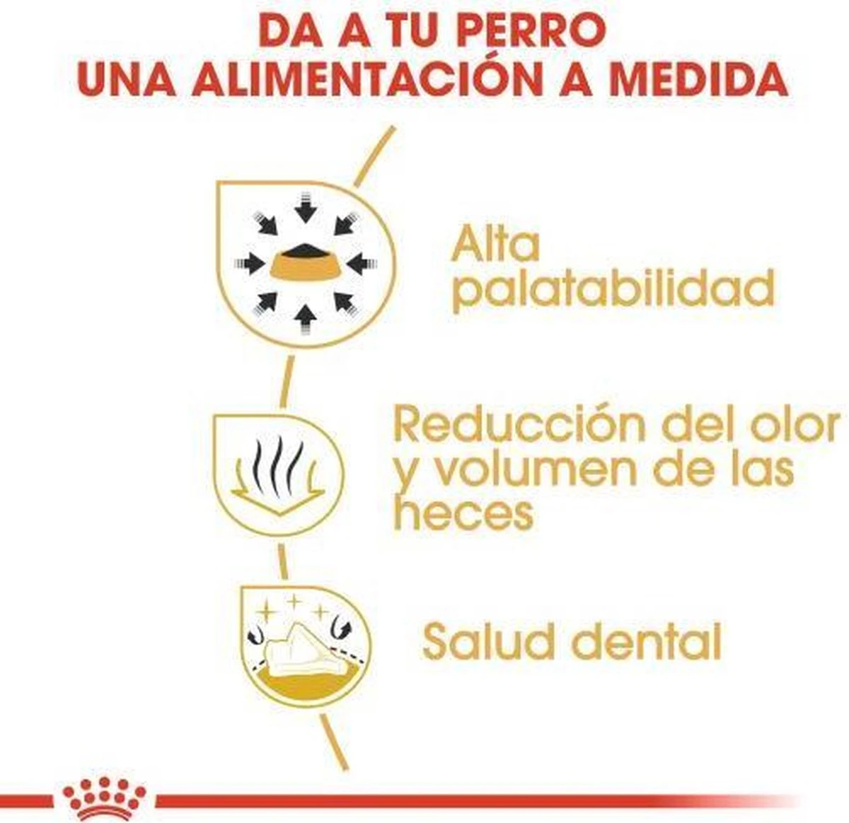 Royal Canin Chihuahua 3 KG 9 Royal Canin Chihuahua 3 KG - Afbeelding 7