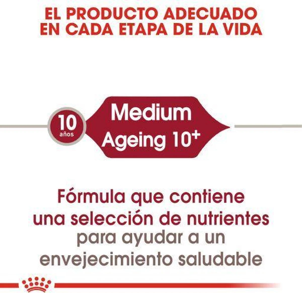 Royal Canin Medium Ageing 10+ - Hondenvoer - 15 Kg 6 Royal Canin Medium Ageing 10+ - Hondenvoer - 15 Kg - Afbeelding 4