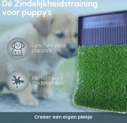 Merkloos Gtrise Hondentoilet Met 2 Matten - Out/Indoor - Zindelijkheidstraining Ebook - Dieren Wc 13 Merkloos Gtrise Hondentoilet Met 2 Matten - Out/Indoor - Zindelijkheidstraining Ebook - Dieren Wc -Exporteren Alles Voor Honden Winkel 1200x1164 9