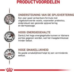 Royal Canin Gastro Intestinal Hond (GI 25) 15 Kg -Exporteren Alles Voor Honden Winkel 1200x1165