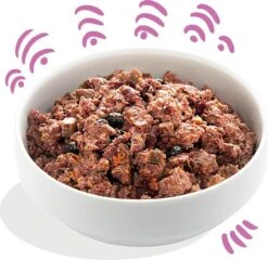 Edgard & Cooper Wild & Eend Blik - Voor Volwassen Honden - Hondenvoer - 12 X 400g 10 Edgard & Cooper Wild & Eend Blik - Voor Volwassen Honden - Hondenvoer - 12 X 400g -Exporteren Alles Voor Honden Winkel 1200x1166 1