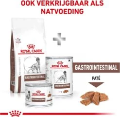 Royal Canin Gastro Intestinal Hond (GI 25) 15 Kg -Exporteren Alles Voor Honden Winkel 1200x1167