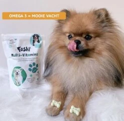 Toshi Multi Vitaminen Met Omega-3 - 100% Natuurlijke Hondensnack Voor Kleine En Grote Honden - Hondenkoekjes Voor Een Gezonde Levensstijl -Exporteren Alles Voor Honden Winkel 1200x1167 3