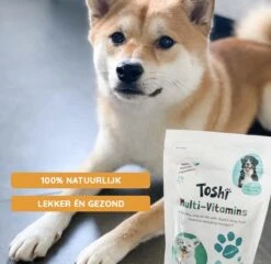 Toshi Multi Vitaminen Met Omega-3 - 100% Natuurlijke Hondensnack Voor Kleine En Grote Honden - Hondenkoekjes Voor Een Gezonde Levensstijl -Exporteren Alles Voor Honden Winkel 1200x1167 4