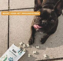 Toshi Multi Vitaminen Met Omega-3 - 100% Natuurlijke Hondensnack Voor Kleine En Grote Honden - Hondenkoekjes Voor Een Gezonde Levensstijl -Exporteren Alles Voor Honden Winkel 1200x1167 5