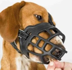 TRIXIE Honden Muilkorf Flex Maat L 17614 -Exporteren Alles Voor Honden Winkel 1200x1167 7