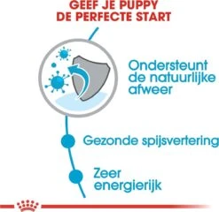 Royal Canin Mini Junior 8 KG -Exporteren Alles Voor Honden Winkel 1200x1168 1