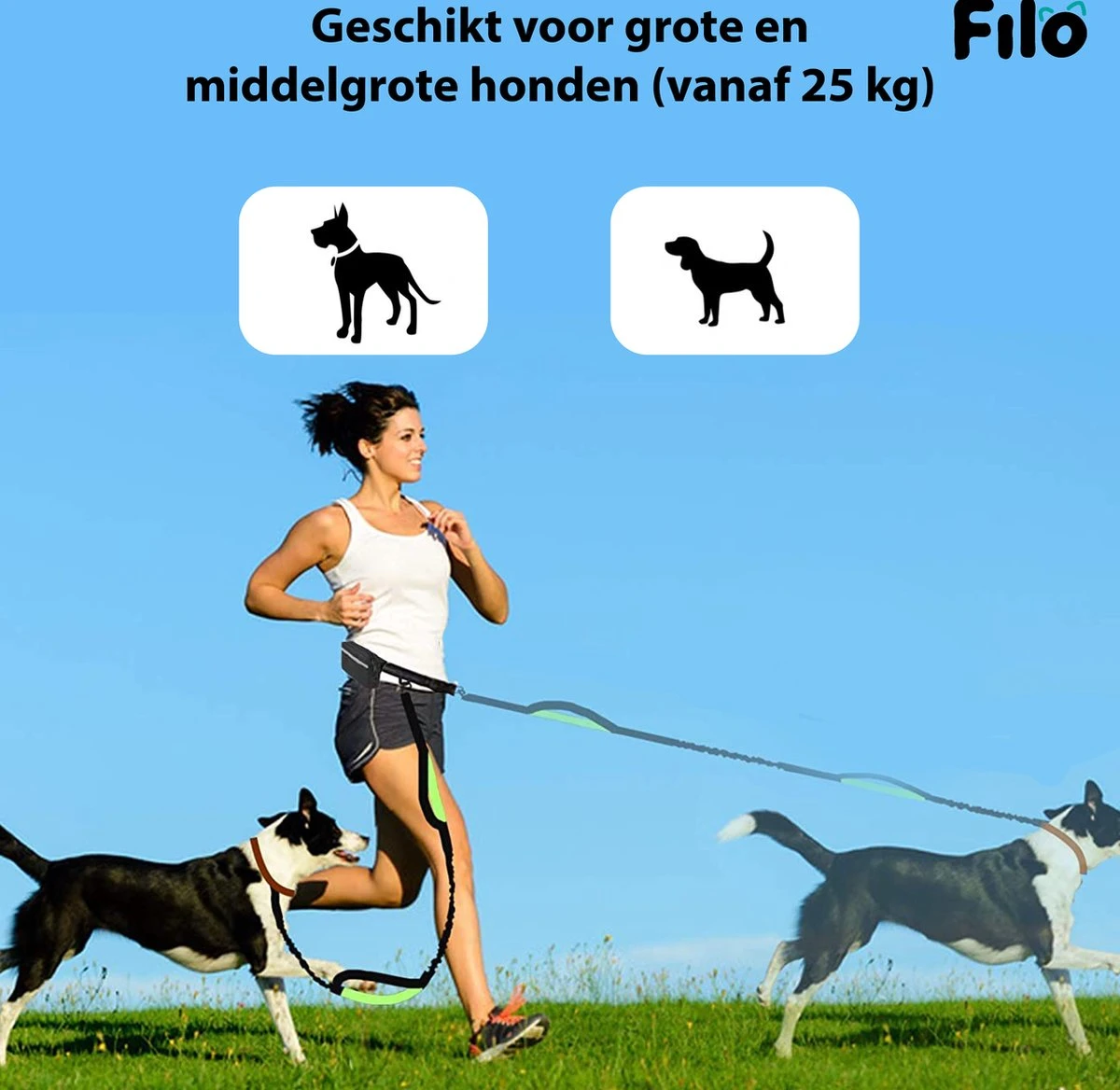 Filo Elastische Hondenriem Groot - Hardlopen En Wandelen - Hardloopriem Hond Handsfree Met Heuptasje - Looplijn Met Heupriem - Canicross Gordel Honden - Riemen - Heupgordel - Leiband 4 Filo Elastische Hondenriem Groot - Hardlopen En Wandelen - Hardloopriem Hond Handsfree Met Heuptasje - Looplijn Met Heupriem - Canicross Gordel Honden - Riemen - Heupgordel - Leiband - Afbeelding 2