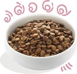 Edgard & Cooper Verse Scharreleend & Kip Brok - Voor Puppy’s - Hondenvoer - 2 X 2.5kg -Exporteren Alles Voor Honden Winkel 1200x1168 5