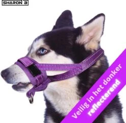 Sharon B Muilkorf Paars Maat M - Fleece - Wasbaar - Reflecterend 12 Sharon B Muilkorf Paars Maat M - Fleece - Wasbaar - Reflecterend -Exporteren Alles Voor Honden Winkel 1200x1173 1