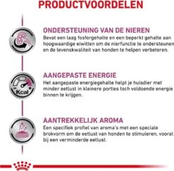 Royal Canin Renal - Hondenvoer - 2 Kg 17 Royal Canin Renal - Hondenvoer - 2 Kg -Exporteren Alles Voor Honden Winkel 1200x1174