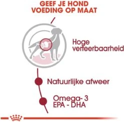 Royal Canin Shn Medium Adult Pouch - Hondenvoer - 10 X 140 G 16 Royal Canin Shn Medium Adult Pouch - Hondenvoer - 10 X 140 G -Exporteren Alles Voor Honden Winkel 1200x1175