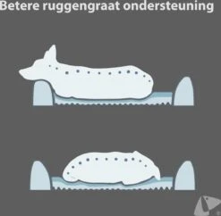 PETKIT® Four Season - Hondenmand - Kattenmand - Wasbaar - Memory Foam - Maat L 17 PETKIT® Four Season - Hondenmand - Kattenmand - Wasbaar - Memory Foam - Maat L -Exporteren Alles Voor Honden Winkel 1200x1175 5