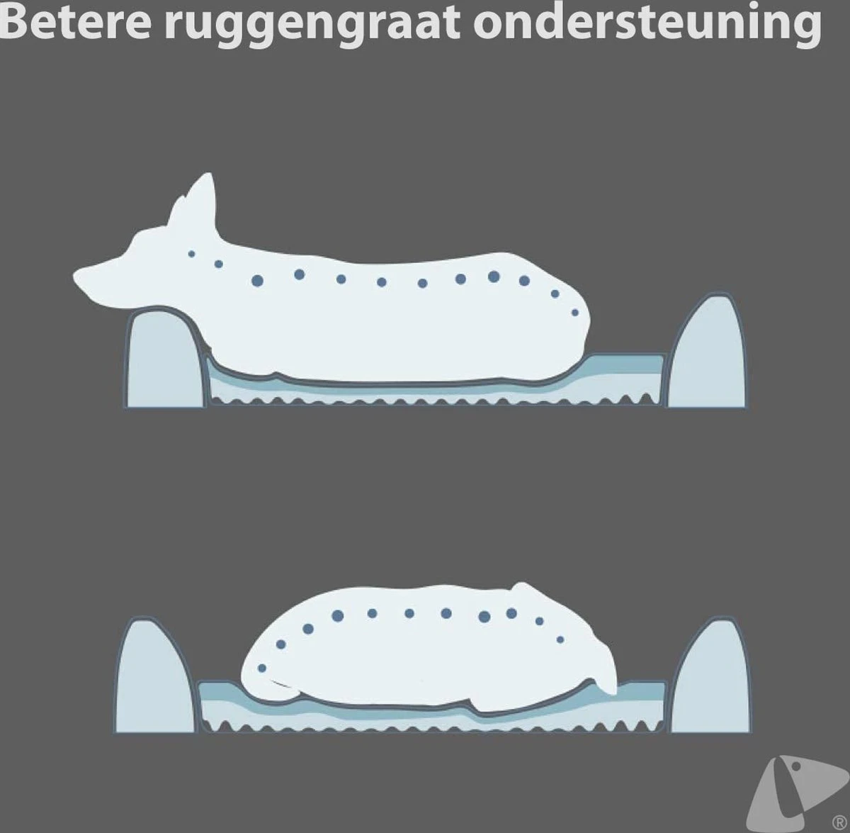 PETKIT® Four Season - Hondenmand - Kattenmand - Wasbaar - Memory Foam - Maat L 9 PETKIT® Four Season - Hondenmand - Kattenmand - Wasbaar - Memory Foam - Maat L - Afbeelding 7