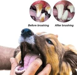 Doodadeals® 4 Stuks Siliconen Honden Tandenborstel - Tanden Borstel Hond - Silicone Dog Tootbrush - Multikleur -Exporteren Alles Voor Honden Winkel 1200x1175 7