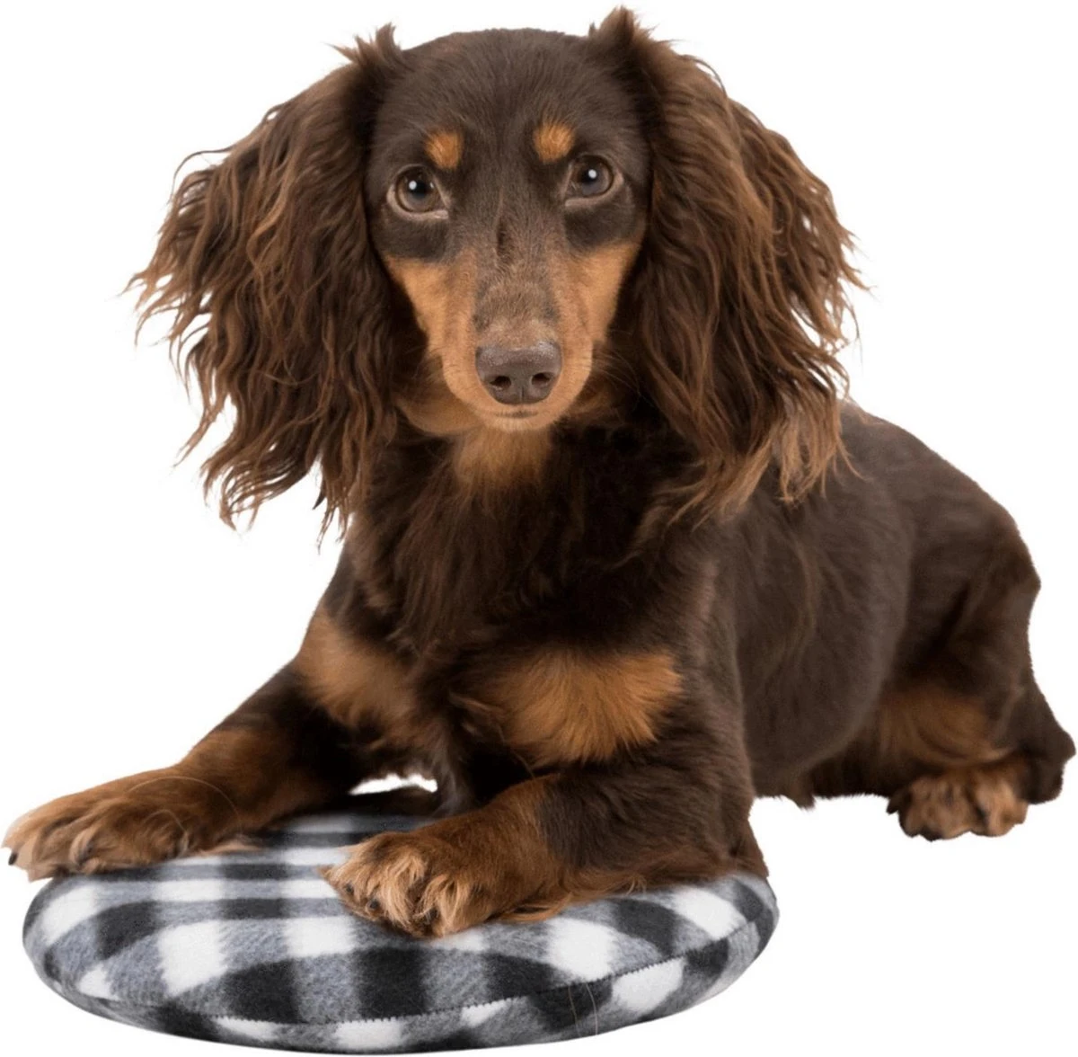 Trixie Warmtekussen Voor De Magnetron Zwart&Wit - - ø 26 Cm 6 Trixie Warmtekussen Voor De Magnetron Zwart&Wit - - ø 26 Cm - Afbeelding 4