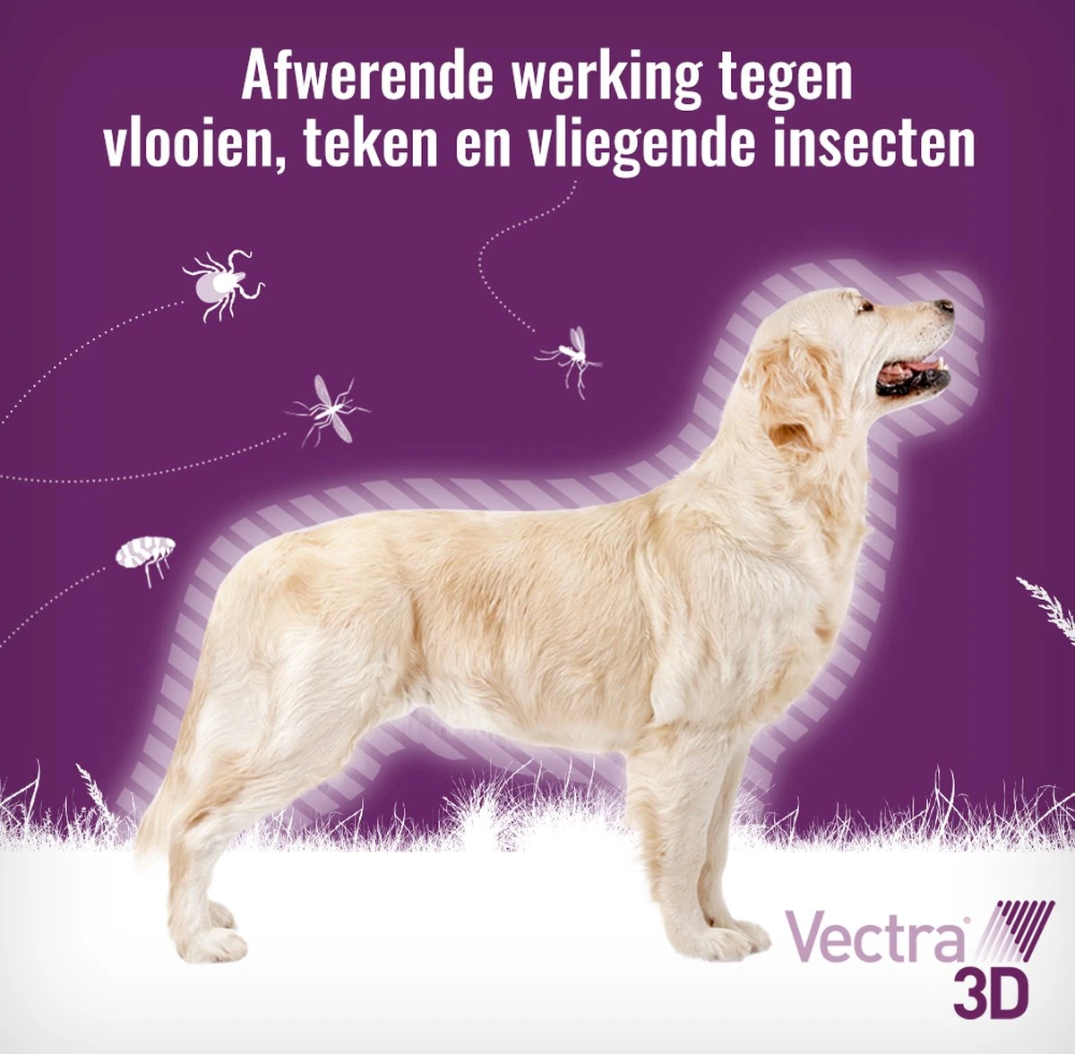 VECTRA 3D Hond - 4 Tot 10 Kg - Anti Vlooien- En Tekendruppels - 3 Pipetten 6 VECTRA 3D Hond - 4 Tot 10 Kg - Anti Vlooien- En Tekendruppels - 3 Pipetten - Afbeelding 4