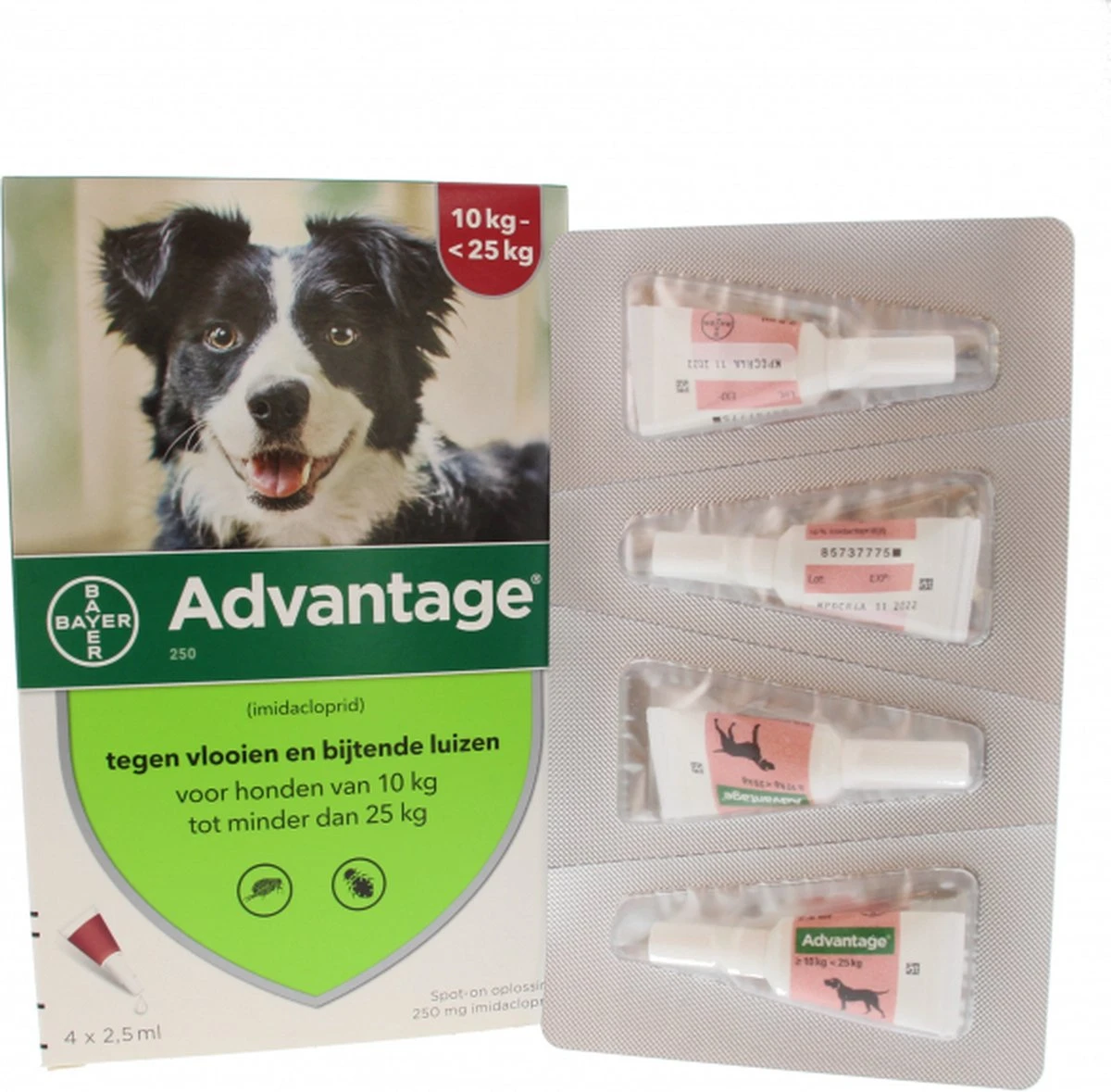 Bayer Advantage 250 Vlooiendruppels Hond 10-25 Kg - 4 Pipetten 10 Bayer Advantage 250 Vlooiendruppels Hond 10-25 Kg - 4 Pipetten - Afbeelding 8