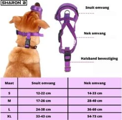 Sharon-B Muilkorf Turquoise Maat S - Fleece - Reflecterend - Kleine Hond -Exporteren Alles Voor Honden Winkel 1200x1179 6